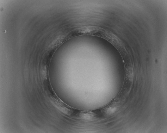 X0000062910510200601181223