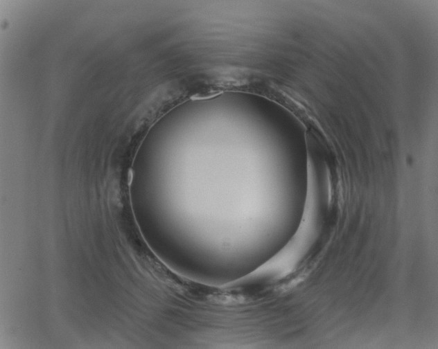 X0000062910512200601181223