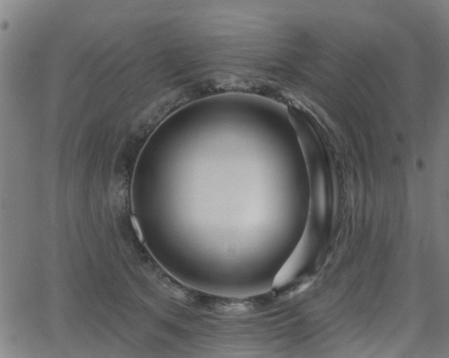 X0000062910513200601181223