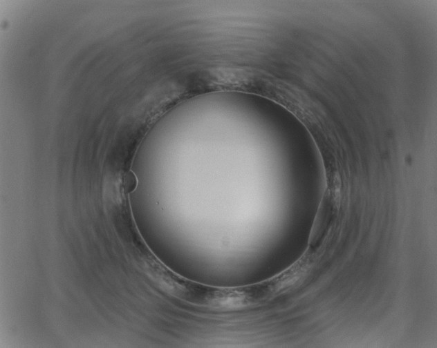 X0000062910514200601181223