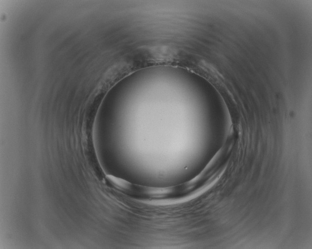 X0000062910516200601181222