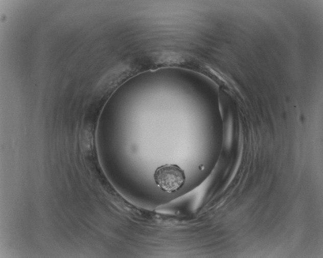 X0000062910517200601181222