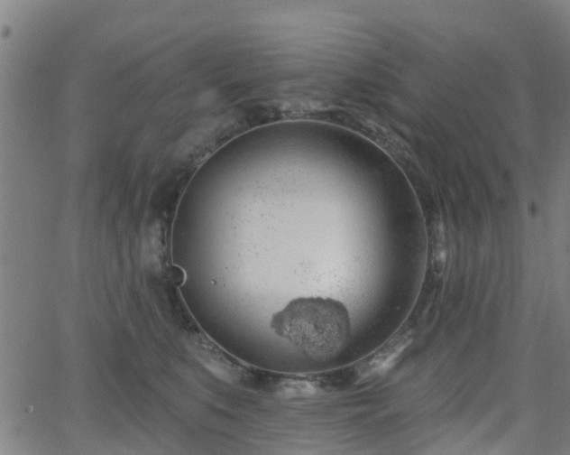 X0000062910519200601181222