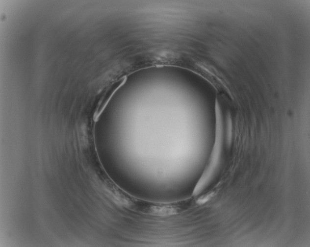 X0000062910520200601181222