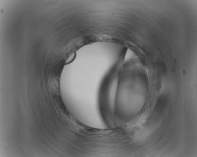 X0000062910523200601181222