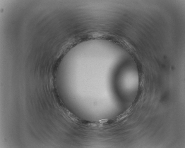 X0000062910524200601181222