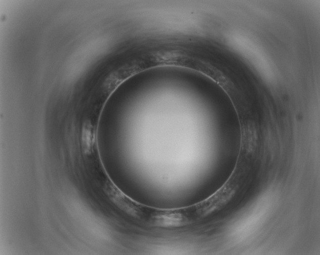 X0000062910525200601181222