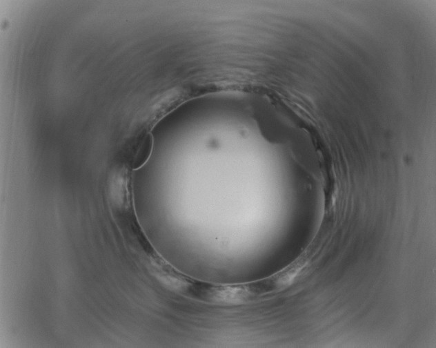 X0000062910527200601181222