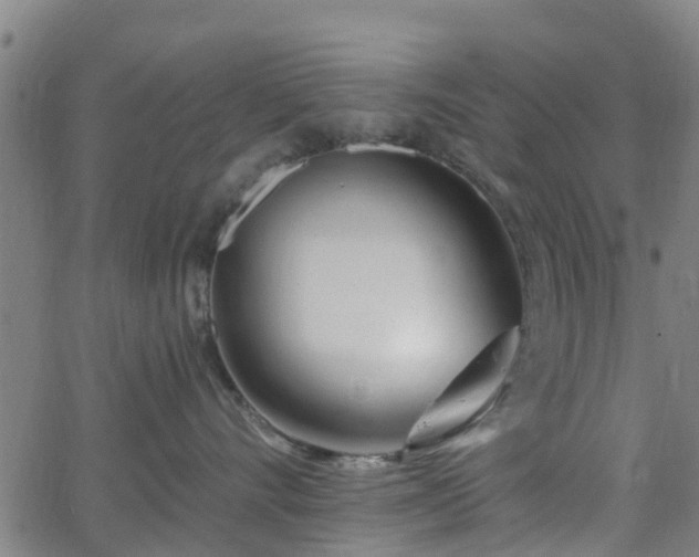 X0000062910528200601181222