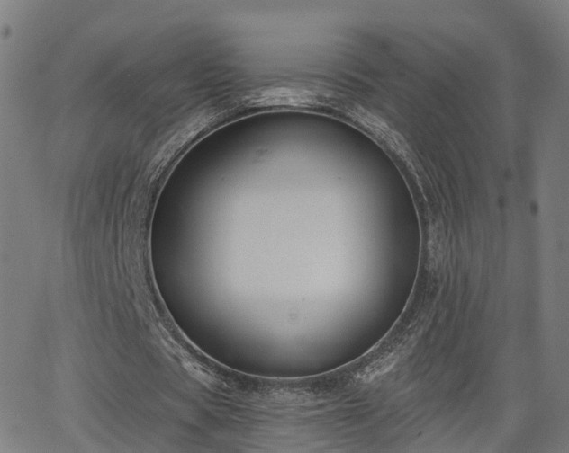 X0000062910529200601181221