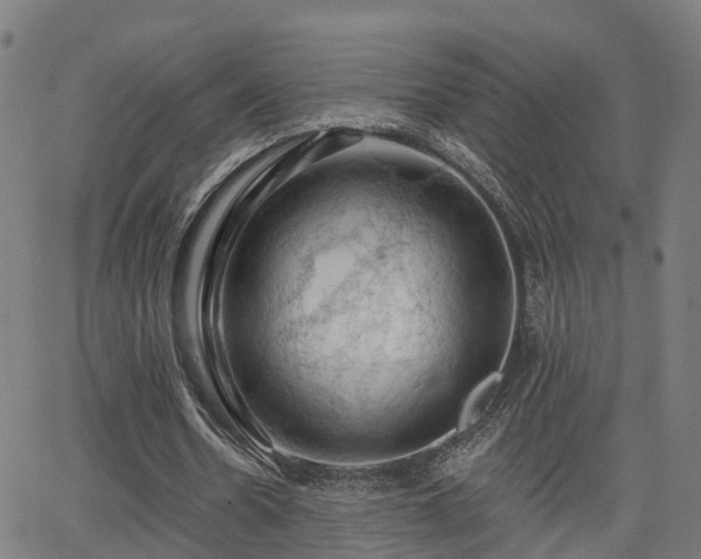 X0000062910530200601181222