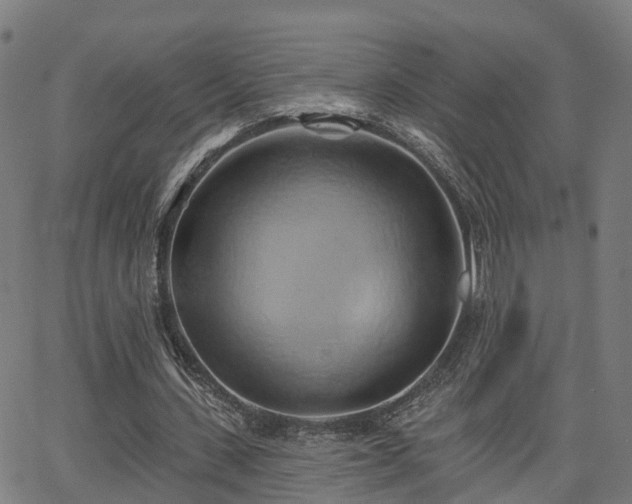 X0000062910531200601181222