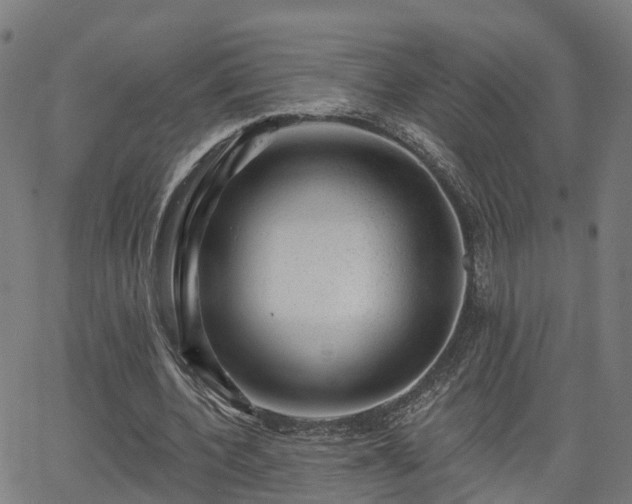 X0000062910532200601181222