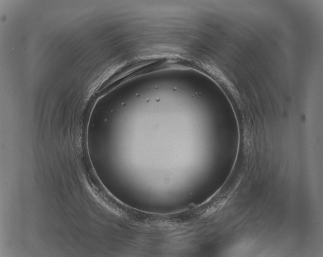 X0000062910533200601181222