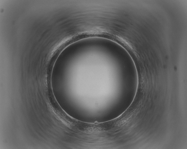 X0000062910535200601181222