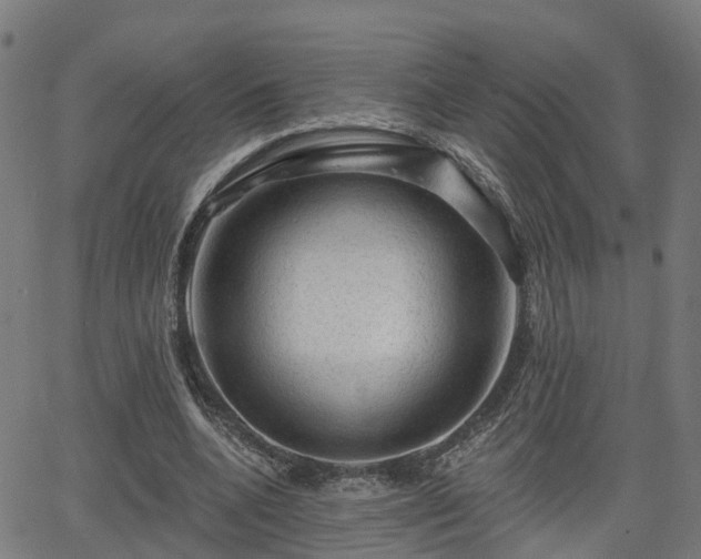 X0000062910536200601181222