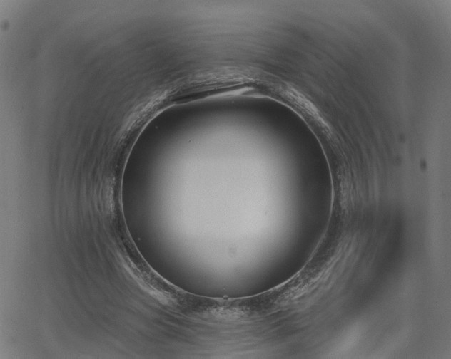 X0000062910537200601181222