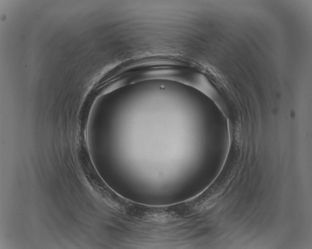 X0000062910540200601181222