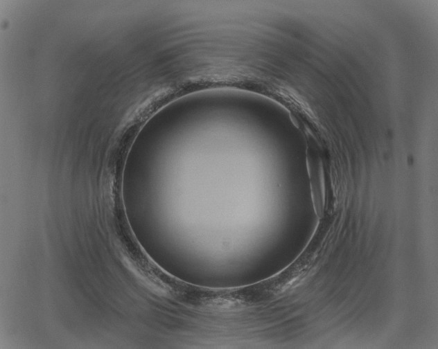 X0000062910542200601181222