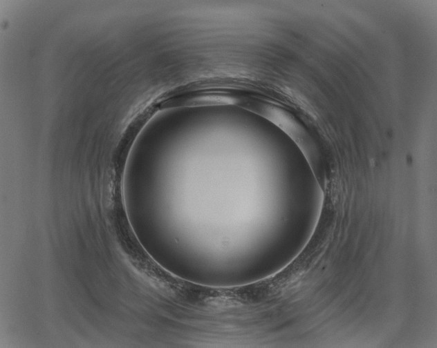 X0000062910544200601181222