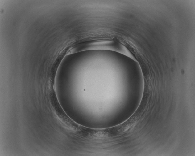 X0000062910546200601181222