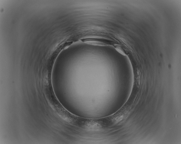 X0000062910547200601181222