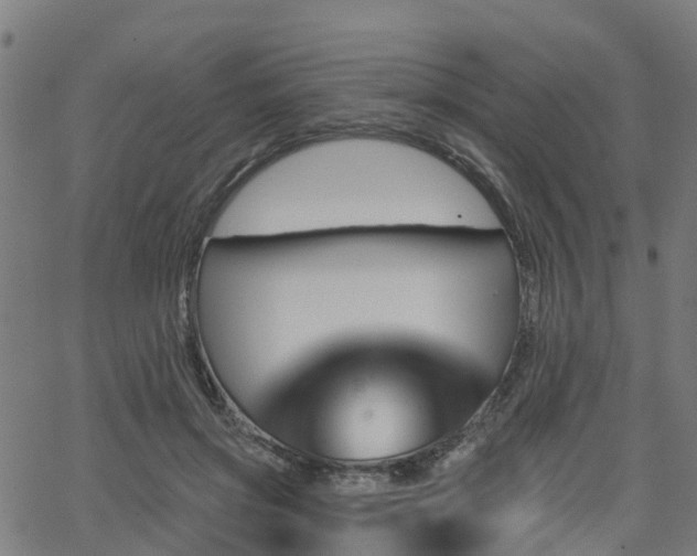 X0000062910549200601181222