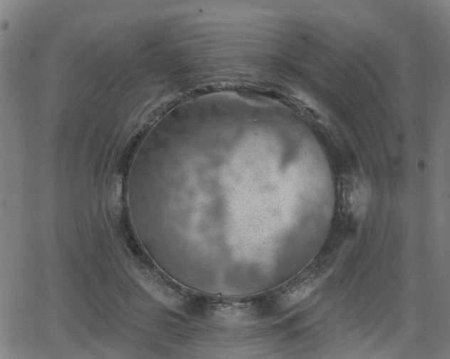 X0000062910550200601181222