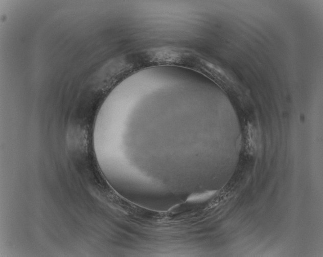 X0000062910551200601181222