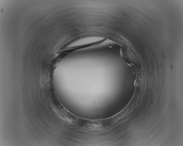 X0000062910552200601181222