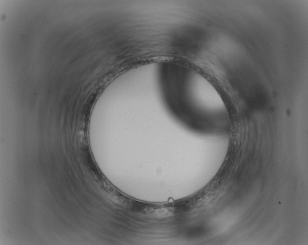 X0000062910553200601181222