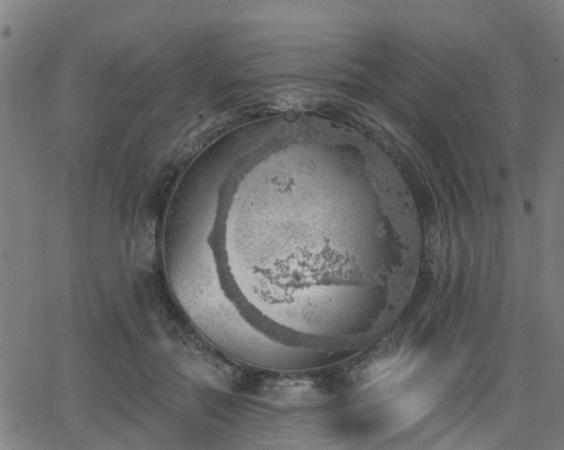 X0000062910554200601181222