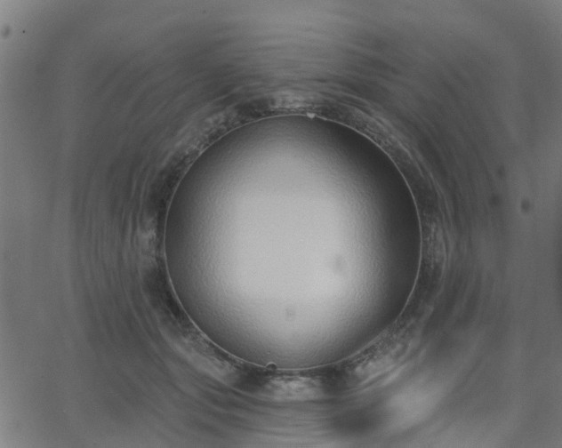 X0000062910557200601181222