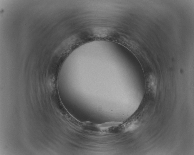 X0000062910559200601181222