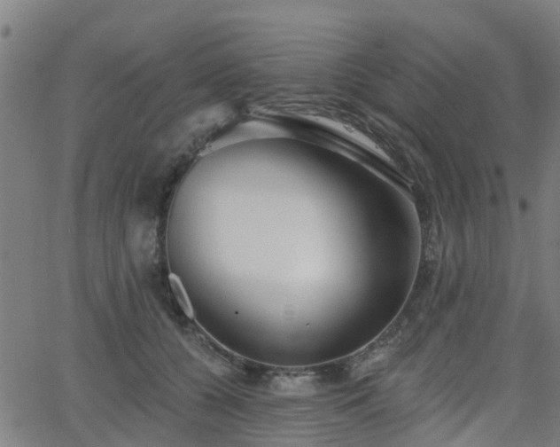 X0000062910560200601181222