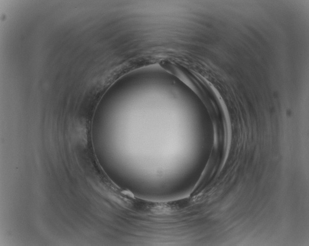 X0000062910562200601181222