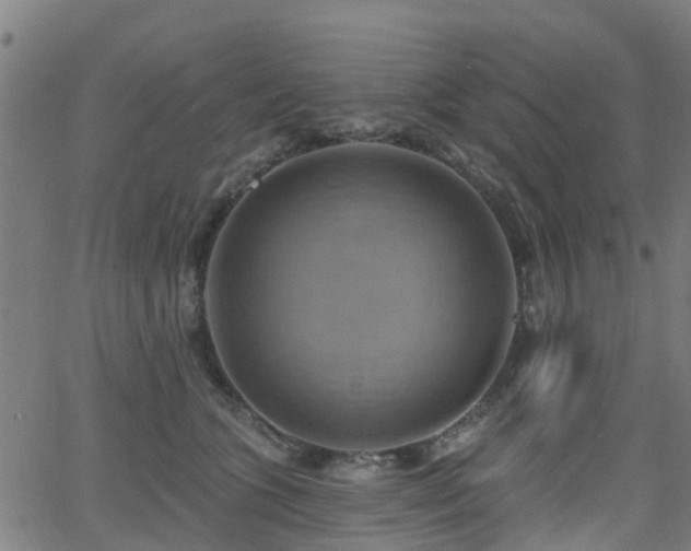 X0000062910563200601181222