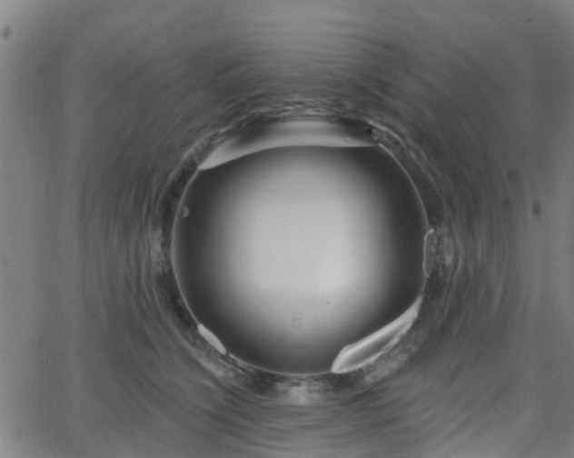 X0000062910564200601181222