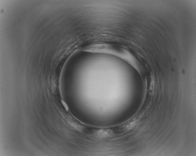 X0000062910566200601181222