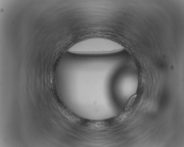 X0000062910567200601181222