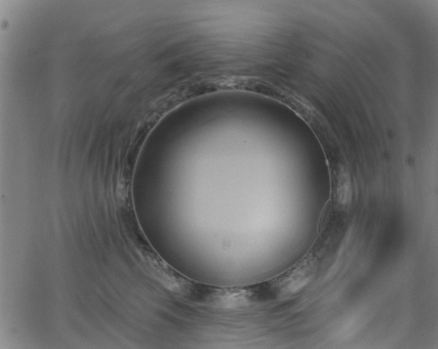 X0000062910569200601181222