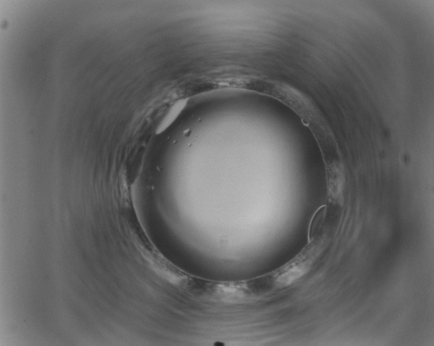 X0000062910573200601181222