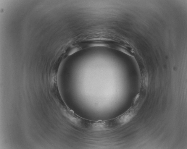 X0000062910574200601181222