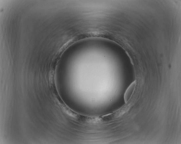 X0000062910576200601181222