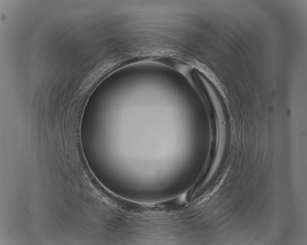 X0000062910577200601181221