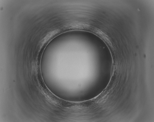 X0000062910578200601181221