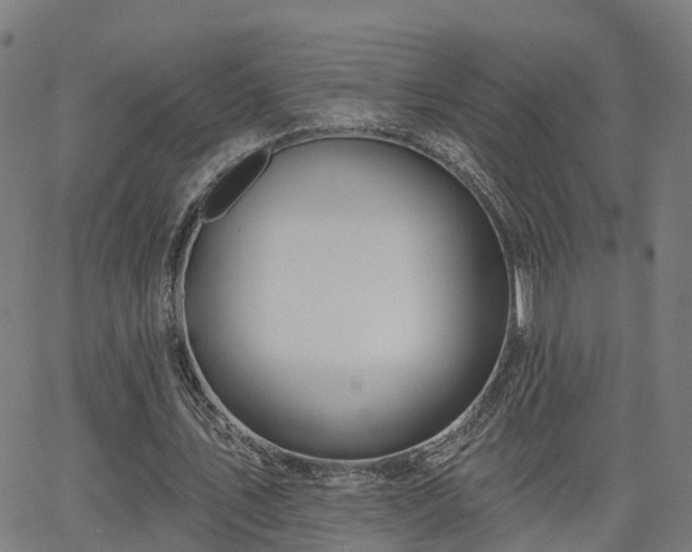 X0000062910579200601181221