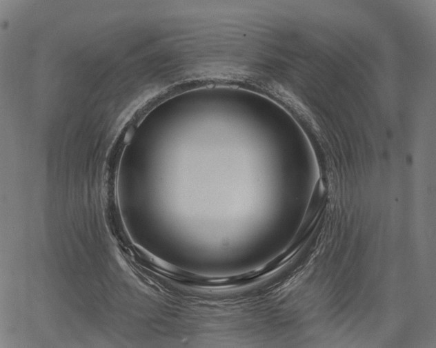 X0000062910580200601181221