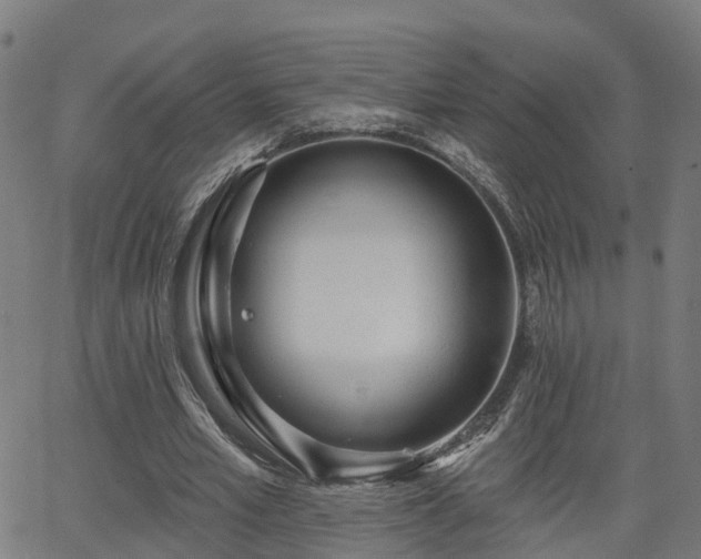 X0000062910581200601181221