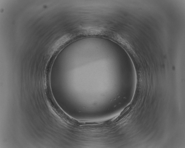 X0000062910582200601181221